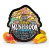 Tre House | Juicy Mango Magic Mushroom Gummies