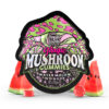 TreHouse | Watermelon Wonder Magic Mushroom Gummies